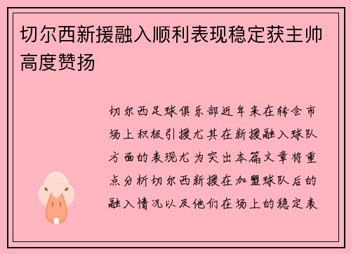 切尔西新援融入顺利表现稳定获主帅高度赞扬