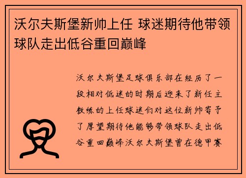 沃尔夫斯堡新帅上任 球迷期待他带领球队走出低谷重回巅峰