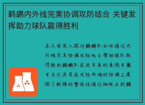 鹈鹕内外线完美协调攻防结合 关键发挥助力球队赢得胜利